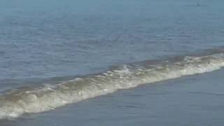 Bord de Mer et Bruit de Vague  Royan Océan Atlantique  CharenteMaritime [upl. by Oicatsana]