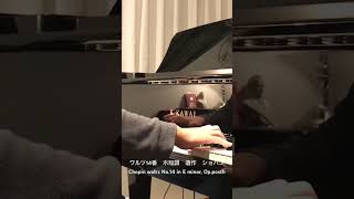 Chopin Waltz No19 in A minor Op posth ショパン ワルツ（遺作） イ短調 [upl. by Sina]