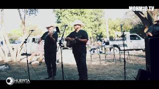 Trio Alterno HuastecoPolka Las Perlitas [upl. by Ahsilav]