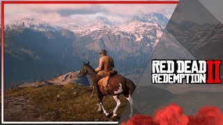 САМАЯ БЫСТРАЯ РУКА НА ДИКОМ ЗАПАДЕ RED DEAD REDEMPTION 2 LIVE [upl. by Ruella]