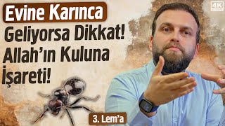 Evine Karınca Geliyorsa Dikkat Allah’ın Kuluna İşareti  3 Lema  İhya  Fatih Ünal [upl. by Gnidleif178]