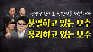 분열하고 있는 보수 붕괴하고 있는 보수 [upl. by Huesman]