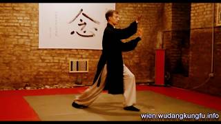 Wudang Sanfeng Taiji 28 Steps [upl. by Darraj]