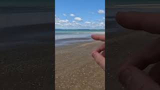 Shark Jumps clear out the water Drone fishing Tokerau Beach NZ [upl. by Polk]