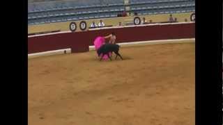 Bullfighting in Spain [upl. by Mackie962]