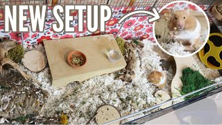 New Hamster Cage Setup Timelapse [upl. by Fawcett]