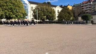 Hemvärnets Musikkår Blekinge  Arméns Paradmarsch [upl. by Annola]