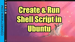 How to create and run shell script in Ubuntu [upl. by Canica]