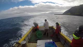 Tristan Da Cunha fishing Trip [upl. by Brana]