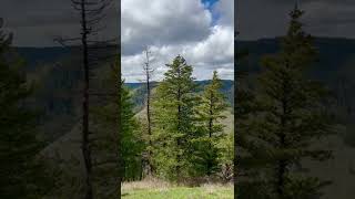 Meacham Divide Trail Umatilla National Forest Oregon￼ [upl. by Yule]