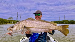 Chasing Jewfish in the Riverusing the Baitjunkie Prawn [upl. by Ahsil]