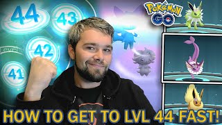 I HIT LVL 4144 IN 1 DAY TIPS amp TRICKS LEGACY 40 RESEARCH COMPLETED Pokémon GO [upl. by Barnum288]