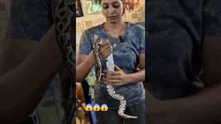 விளையாட்டுப் பிள்ளை பைத்தான்  python in Tamil [upl. by Franciscka364]