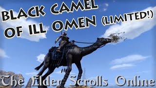 Black Camel of Ill Omen Mount  The Elder Scrolls Online [upl. by Hamil]