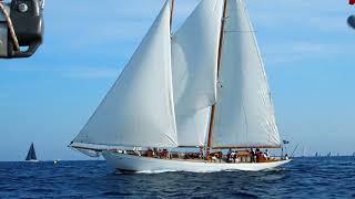 Les voiles de St Tropez 2023 [upl. by Silas]