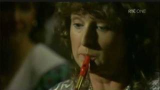 Mary Bergin Tin Whistle [upl. by Hardwick]