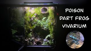 Poison Dart Frog Vivarium Build With waterfall mist and fan [upl. by Barger577]