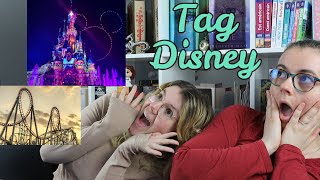 Tag livresque parc dattractions  Disney [upl. by Tasha681]