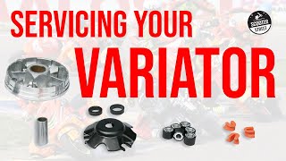 How To Service A Scooter Variator amp Why You Need To [upl. by Brightman]