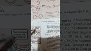 prepriming complex proteinsGenetics Biochem 2nd yr mbbs [upl. by Leeda72]