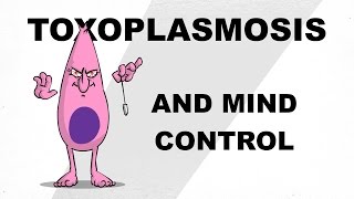 Toxoplasmosis and Mind Control  Plain and Simple [upl. by Gradey]