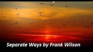 Separate Ways Cover by Frank Wilson [upl. by Aneerehs97]