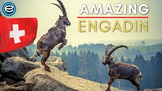 Engadin  Switzerlands Wilderness  Full Nature Documentary [upl. by Eilrac523]