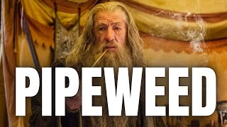 Pipeweed  A Song About Hobbits And Wizards Smoking The Good Stuff [upl. by Saidnac217]