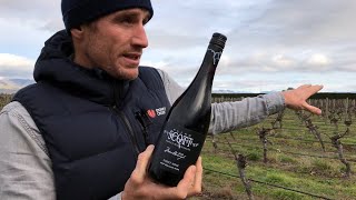 Allan Scott 2020 Sauvignon Blanc amp Pinot Noir with Josh Scott [upl. by Allanson]