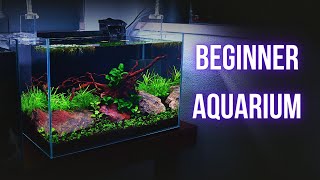 STUNNING NANO PLANTED AQUARIUM for BEGINNERS NO CO2  Step by step AQUASCAPING TUTORIAL  EP1 [upl. by Einahpets]