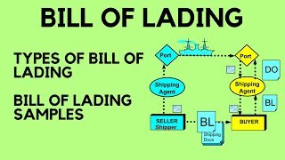 Bill of Lading  Types of Bill of Lading amp Bill of Lading Samples [upl. by Marlie519]