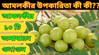 আমলকির উপকারিতা  Amlokir Upokarita  Amlokir Gunagun  Amloki Khele Ki Hoy [upl. by Eniamraj]