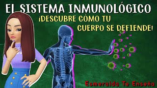 🛡️Sistema Inmunitario Definición Partes y Funciones🦠 [upl. by Odnanref799]