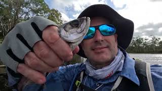 Noosa river fishing trip Nov2024 [upl. by Hawker985]