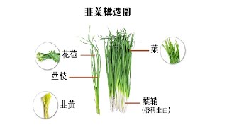 20240404 矽統、有人敲碗：【英濟、志聖、華孚】。 [upl. by Salli]