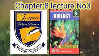 Class 9th Biology Chapter no 8 Nutrition lecture no 3 [upl. by Mayyahk]