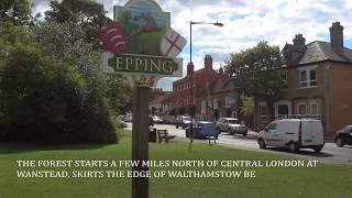 Our Guide to living in Epping [upl. by Eimaj]