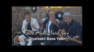 Bedri Ayseli Natık Uncu Diyarbakır Bana Yeter [upl. by Hanselka489]