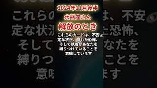 【水瓶座】2024年11月後半みずがめ座、解放のとき。恐れの先にある未来とは？水瓶座みずがめ座 [upl. by Ammadas]