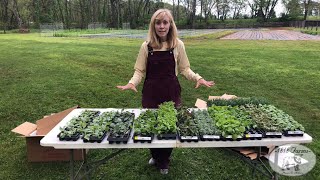 Syngenta Cut Flowers Unboxing at 1818 Farms [upl. by Roxana431]