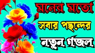 মনের মতো সবার পছন্দের একটি সেরা গজল monyr moto sudar posondyr Sera gojol [upl. by Nylorak]