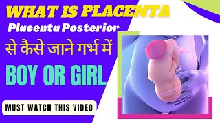 Placenta Posterior से जाने गर्भ में लड़का है या लड़की  placenta क्या होता है [upl. by Eiramik]