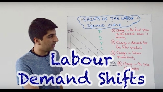 Labour Demand Curve Shifts [upl. by Ail]