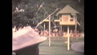 Currumbin Sanctuary late 1960s [upl. by Kallman]