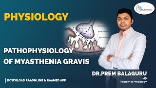 Physiology  Pathophysiology of Myasthenia Gravis  Raaonline physiology pathophysiology gravis [upl. by Nyladgam]