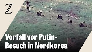 Südkorea feuert Warnschüsse auf nordkoreanische Soldaten [upl. by Eatnuhs]