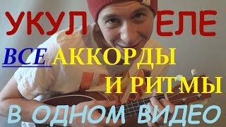 Укулеле  все аккорды и ритмы для укулеле в одном видео [upl. by Scornik964]