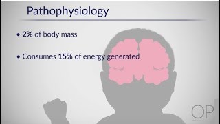 Therapeutic Hypothermia Treatment of Hypoxic Ischemic Encephalopathy Part 1 by D Casey [upl. by Bay]