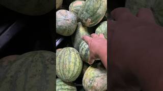 How to Pick a Good Quality Watermelon watermelon [upl. by Hairaza282]