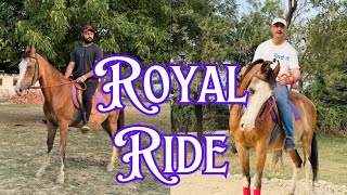 Royal Ride You Too Can Do It [upl. by Hameean523]